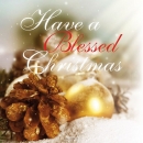 Productafbeelding Have A Blessed Chrismas