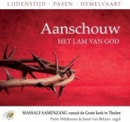 Productafbeelding Aanschouw het Lam van God