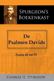 Productafbeelding De Psalmen Davids 2