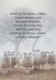 Productafbeelding Poster wenskaart Groot is uw trouw