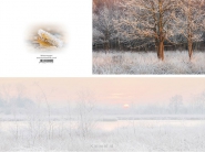 Productafbeelding Panoramawenskaart wintermorgen